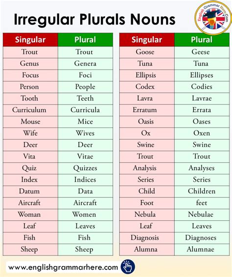 Plural Nouns in English – Regular and Irregular.